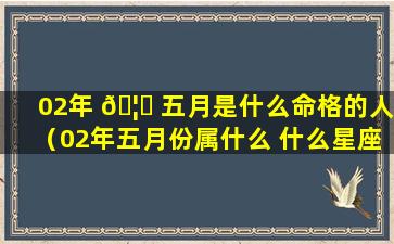 02年 🦊 五月是什么命格的人（02年五月份属什么 什么星座）